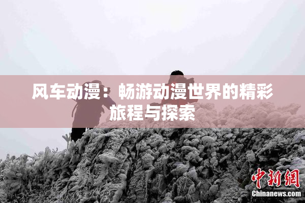 风车动漫：畅游动漫世界的精彩旅程与探索