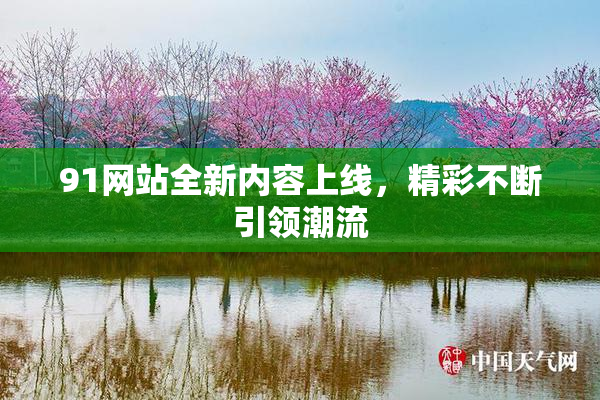 91网站全新内容上线，精彩不断引领潮流