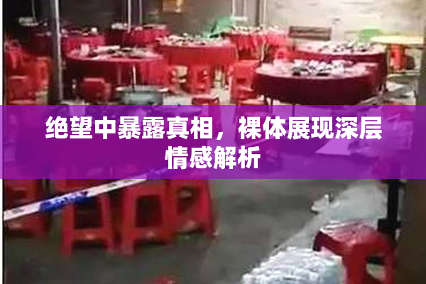 绝望中暴露真相，裸体展现深层情感解析