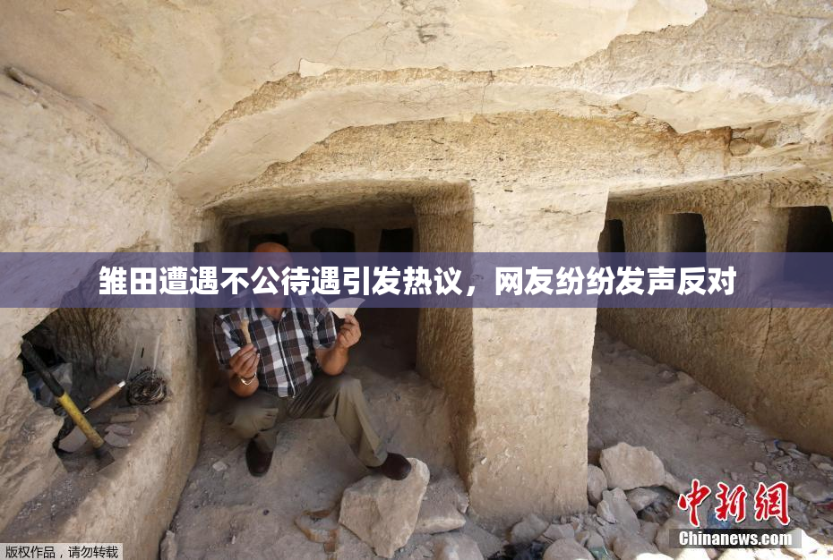 雏田遭遇不公待遇引发热议，网友纷纷发声反对