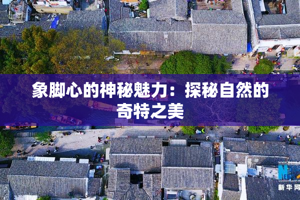 象脚心的神秘魅力：探秘自然的奇特之美