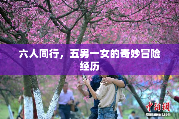 六人同行，五男一女的奇妙冒险经历