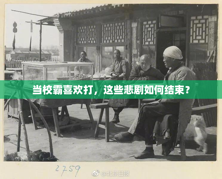 当校霸喜欢打，这些悲剧如何结束？
