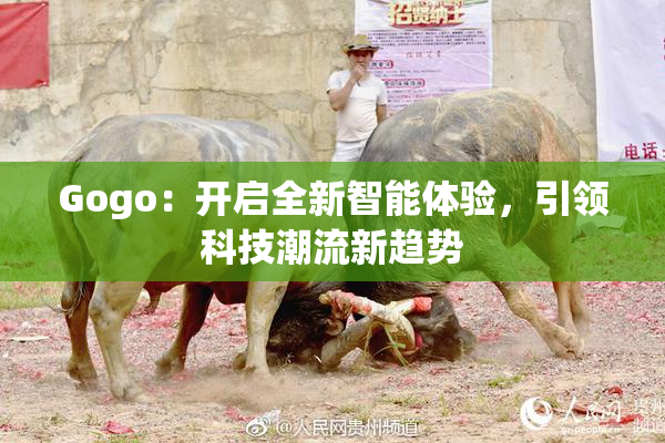 Gogo：开启全新智能体验，引领科技潮流新趋势