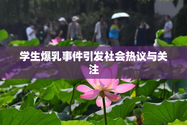 学生爆乳事件引发社会热议与关注