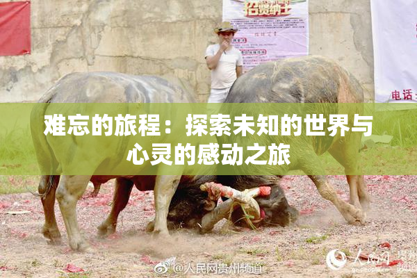 难忘的旅程：探索未知的世界与心灵的感动之旅