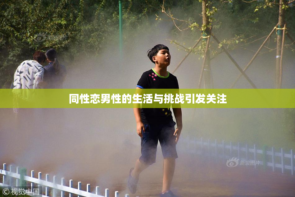 同性恋男性的生活与挑战引发关注