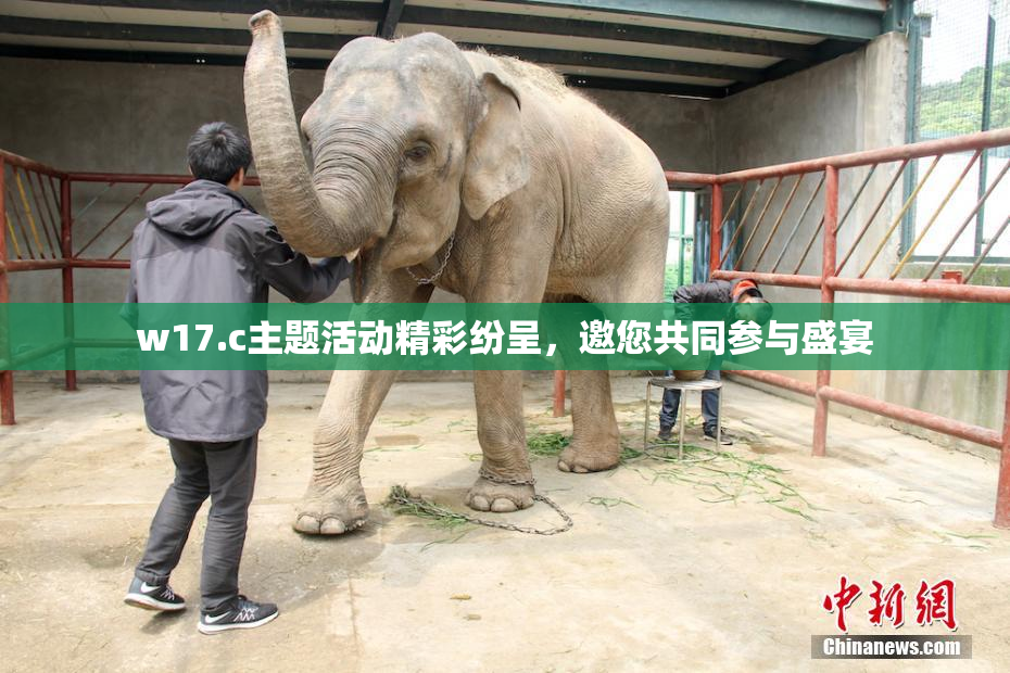 w17.c主题活动精彩纷呈，邀您共同参与盛宴