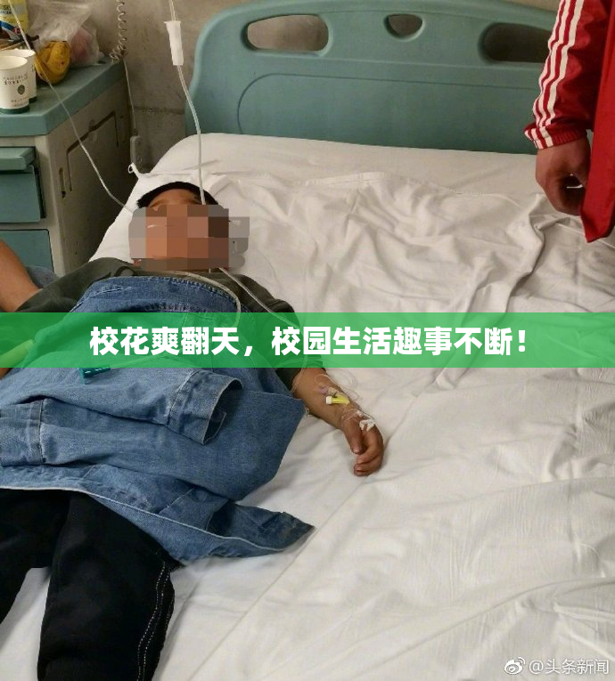校花爽翻天，校园生活趣事不断！