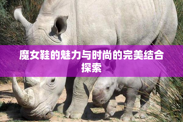 魔女鞋的魅力与时尚的完美结合探索