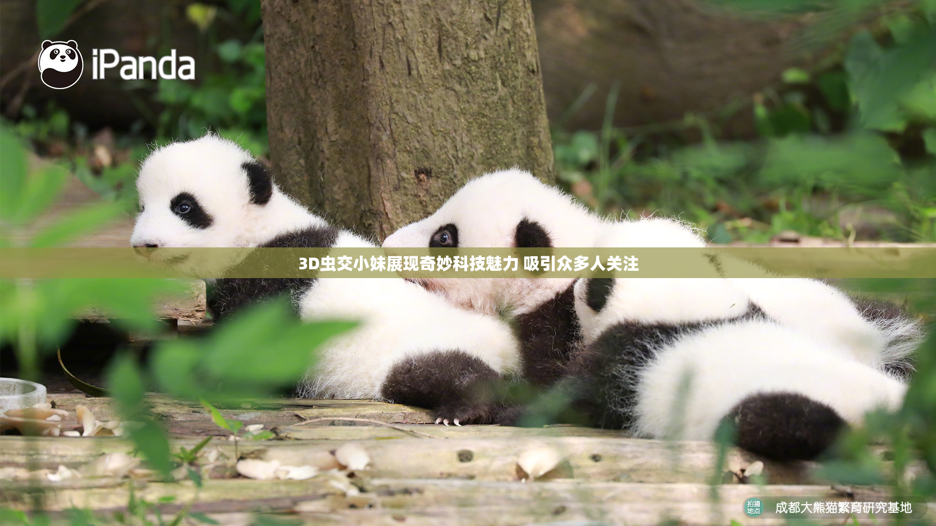 3D虫交小妹展现奇妙科技魅力 吸引众多人关注