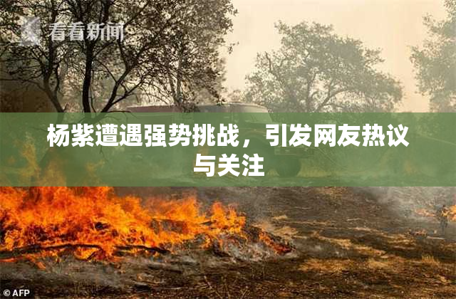 杨紫遭遇强势挑战，引发网友热议与关注