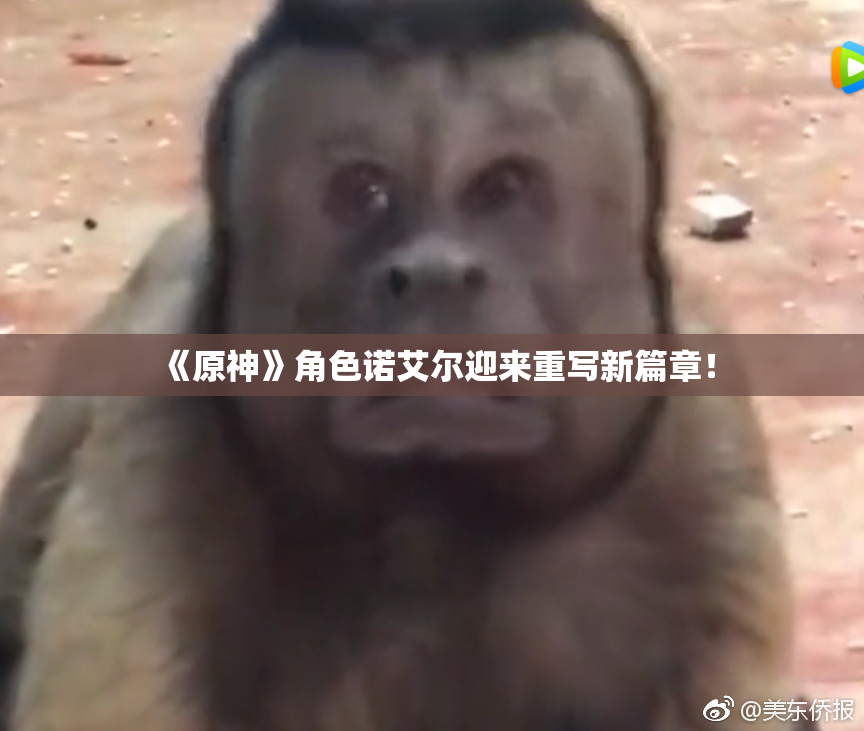《原神》角色诺艾尔迎来重写新篇章！