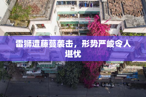 雷狮遭藤蔓袭击，形势严峻令人堪忧