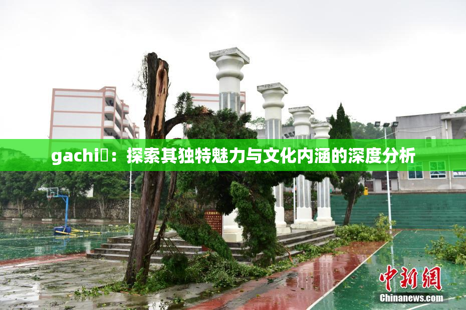 gachi籣：探索其独特魅力与文化内涵的深度分析