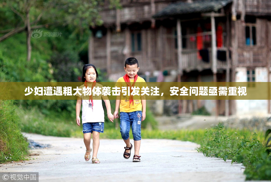 少妇遭遇粗大物体袭击引发关注，安全问题亟需重视