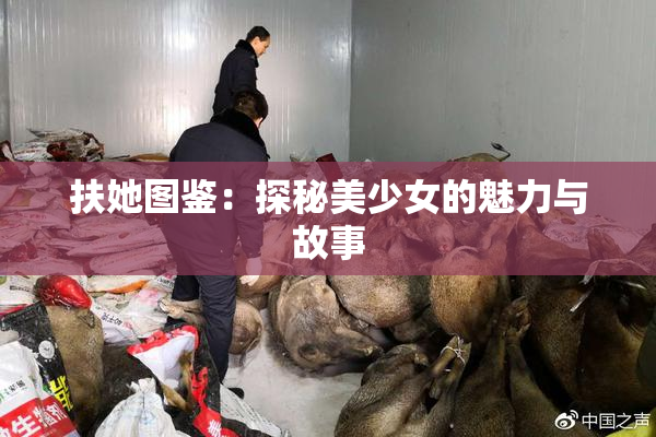扶她图鉴：探秘美少女的魅力与故事