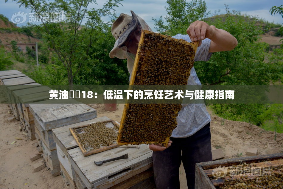 黄油❌‌18：低温下的烹饪艺术与健康指南