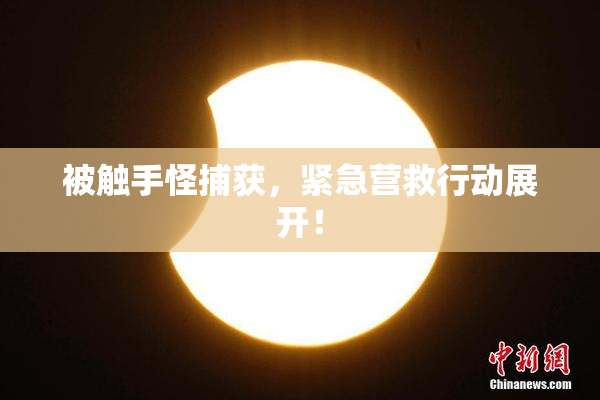 被触手怪捕获，紧急营救行动展开！