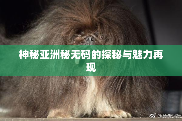 神秘亚洲秘无码的探秘与魅力再现