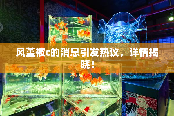 风堇被c的消息引发热议，详情揭晓！
