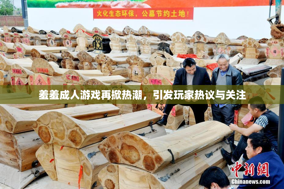 羞羞成人游戏再掀热潮，引发玩家热议与关注