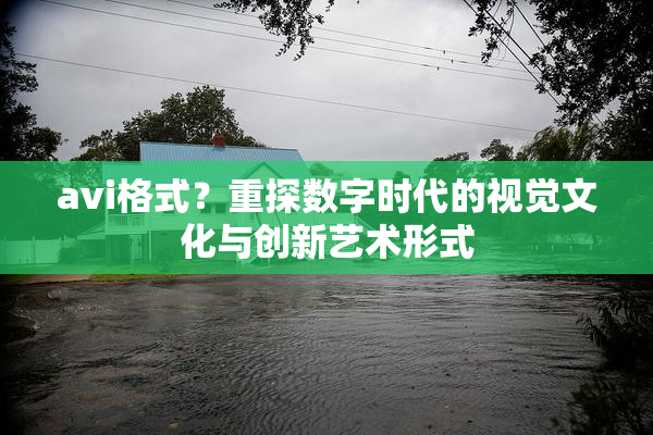 avi格式？重探数字时代的视觉文化与创新艺术形式