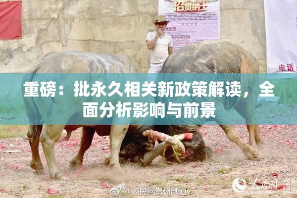 重磅：批永久相关新政策解读，全面分析影响与前景