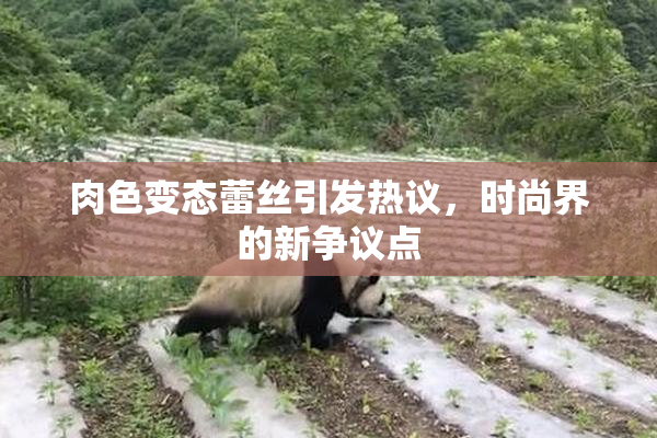 肉色变态蕾丝引发热议，时尚界的新争议点