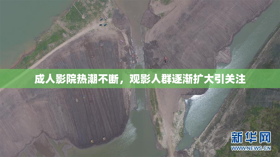 成人影院热潮不断，观影人群逐渐扩大引关注