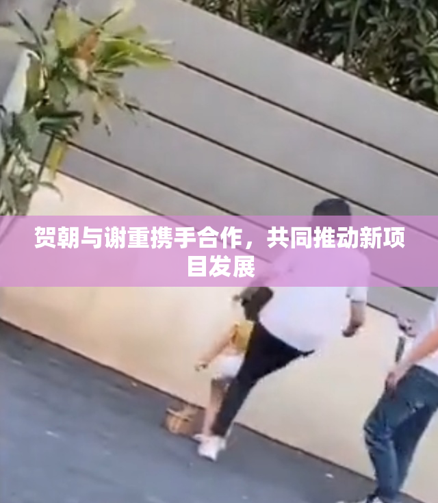 贺朝与谢重携手合作，共同推动新项目发展