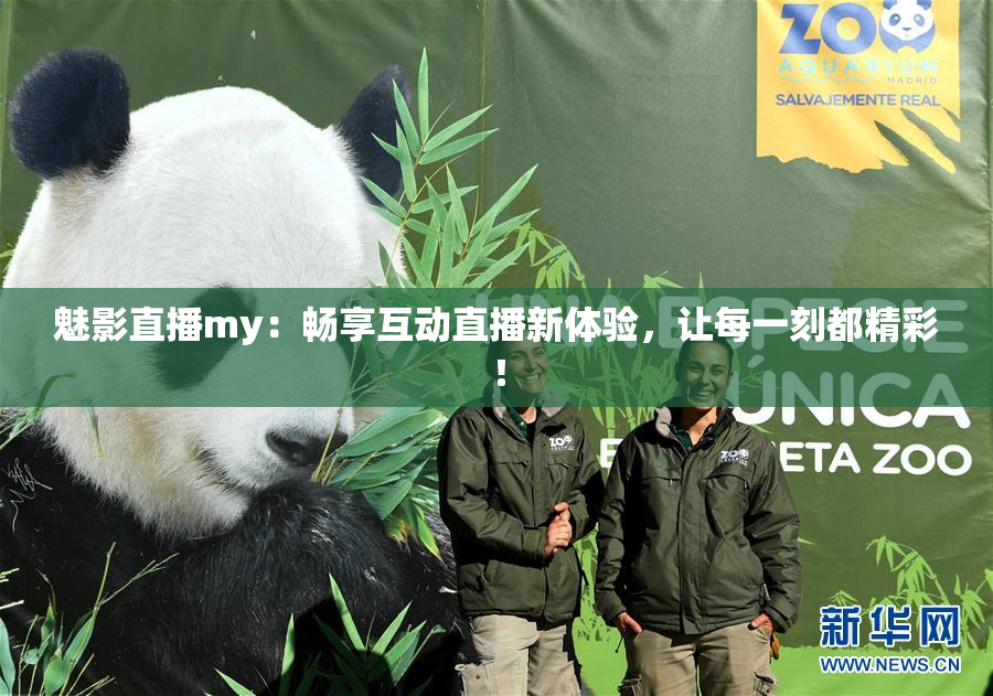 魅影直播my：畅享互动直播新体验，让每一刻都精彩！