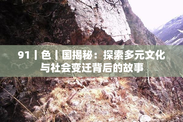 91丨色丨国揭秘：探索多元文化与社会变迁背后的故事