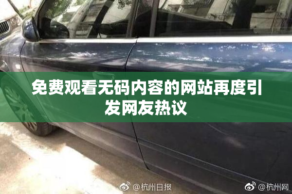 免费观看无码内容的网站再度引发网友热议