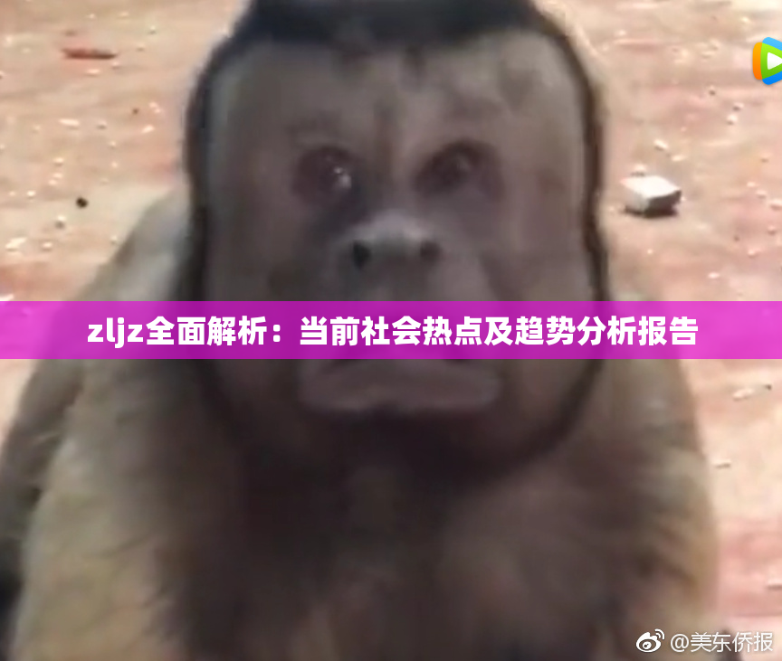 zljz全面解析：当前社会热点及趋势分析报告