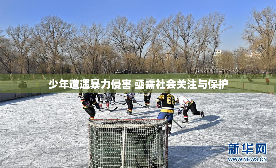 少年遭遇暴力侵害 亟需社会关注与保护