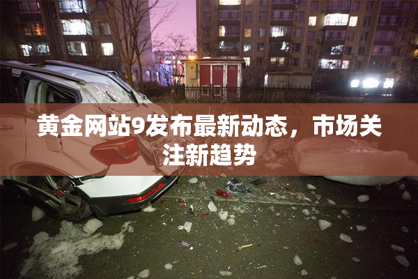 黄金网站9发布最新动态，市场关注新趋势