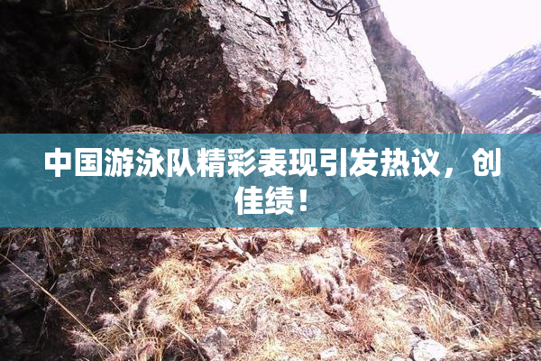 中国游泳队精彩表现引发热议，创佳绩！
