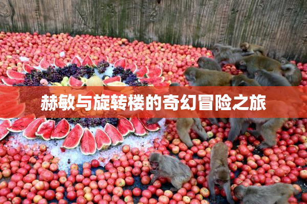 赫敏与旋转楼的奇幻冒险之旅