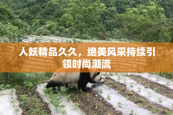 人妖精品久久，绝美风采持续引领时尚潮流