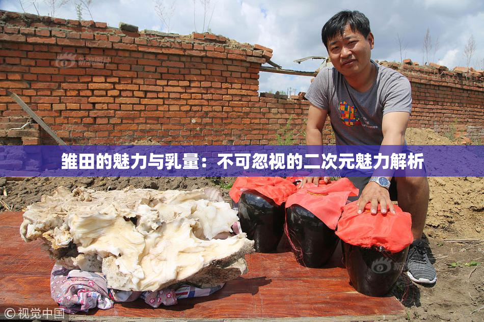 雏田的魅力与乳量：不可忽视的二次元魅力解析