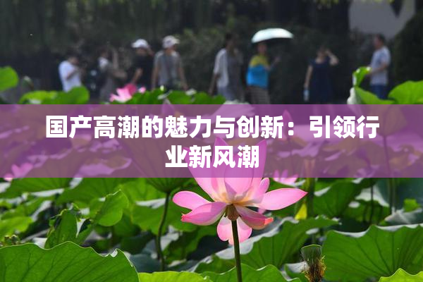 国产高潮的魅力与创新：引领行业新风潮