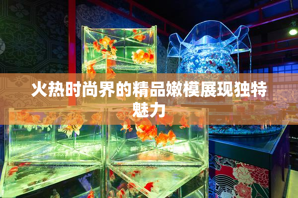 火热时尚界的精品嫩模展现独特魅力