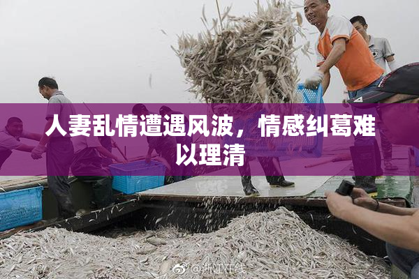 人妻乱情遭遇风波，情感纠葛难以理清
