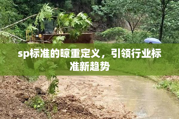 sp标准的晾重定义，引领行业标准新趋势