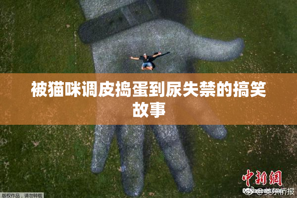 被猫咪调皮捣蛋到尿失禁的搞笑故事