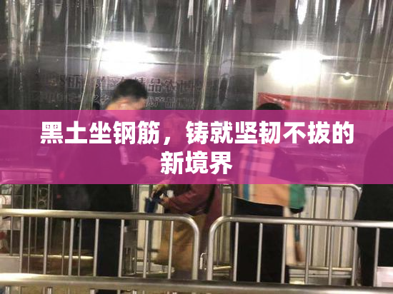 黑土坐钢筋，铸就坚韧不拔的新境界