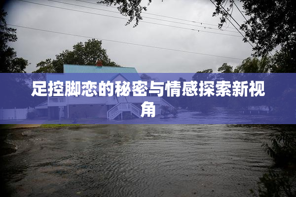 足控脚恋的秘密与情感探索新视角