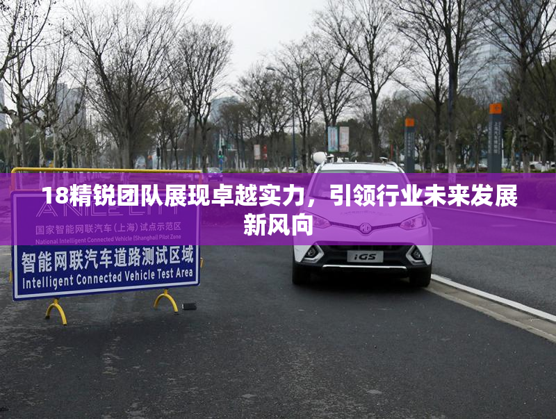 18精锐团队展现卓越实力，引领行业未来发展新风向