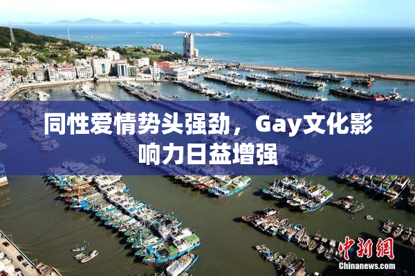 同性爱情势头强劲，Gay文化影响力日益增强